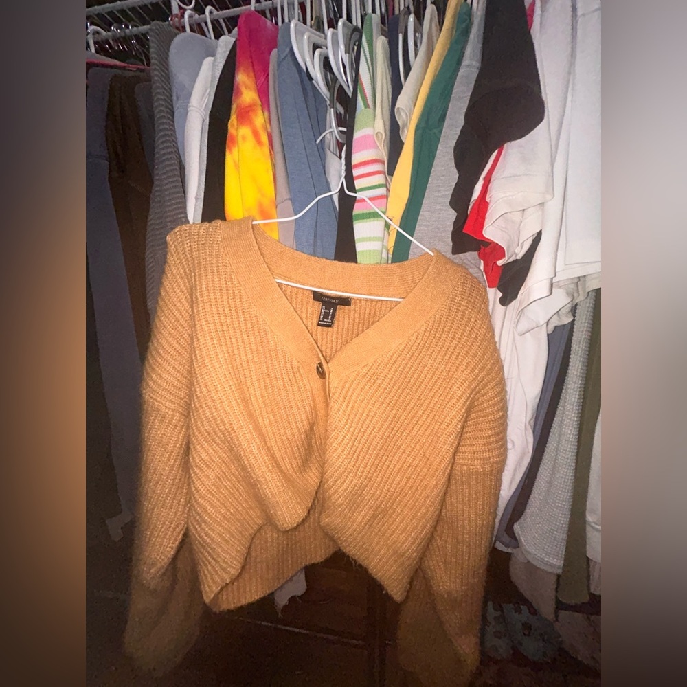 Forever 21 Cropped Fluffy Sweater